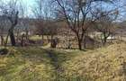 Casa 4 camere-teren 2410 mp-grajd-sura-fanar-magazie-Prundu Bargaului - 2