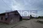 VANZARE TEREN 16.000 MP | 2 LOTURI | CONSTRUCTII EXISTENTE | ROSIORI DE VEDE - 5