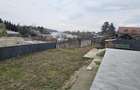 VILA MODERNA LANGA LACUL SNAGOV-LUMINA, SPATIU SI INTIMITATE PREMIUM - 19