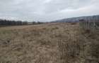 Teren Intravilan de vânzare, 4300mp, front 25 ml, Borhanci - 6