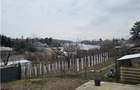 VILA MODERNA LANGA LACUL SNAGOV-LUMINA, SPATIU SI INTIMITATE PREMIUM - 18