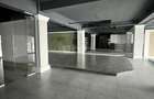 Tatarasi - Doi Baieti, spatiu 480mp de inchiriat, ideal showroom - 8