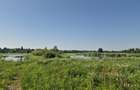 Izvorani - Teren cu deschidere generoasă la lacul Snagov