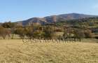 O oportunitate care îți atinge sufletul: Teren de vis la ieșirea din Rășinari - 4