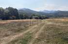 Teren de vanzare în zona turistica Sambata de Sus Jud Brasov - 7