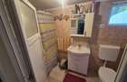 Casa 3 camere zona Dorobantilor-Plantelor - 9