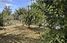 Teren intravilan, 432 mp, zona Albesti - 2