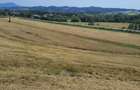 Teren intra si extravilan in Vad, Copalnic-Mănăștur, Maramures - 2