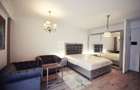 Bucium, apartament 1 camera, mobilat si utilat premium - 3