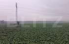 Teren industrial, 15000 mp, Zona Lido Garbea, Ytong. - 3