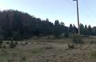 Teren 1810  mp – Zona Brebina, Zărnești . - 2