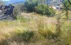 Teren intravilan de vanzare, 5872 mp, pe strada Chilia-Vatra Dornei