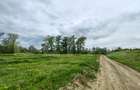 Teren intravilan 6010 mp, zona Sebes - 4