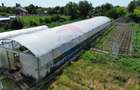 Proprietate 2.229 mp cu Dotări pentru Afacere Florală - 9