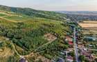 Teren pe deal, 1.150 mp, în Miniș, front 26 m, Drumul Vinului - 4