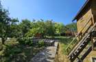 Vila superba de vanzare in Vintila Voda, Buzau D+P+1 si anexe - 43