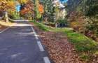 TEREN DE VANZARE - POIANA BRASOV - 5