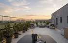 | Penthouse | 200 mp deasupra orașului - 1