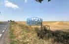 Teren intravilan M. Kogalniceanu, 4000MP, la drumul national - 4