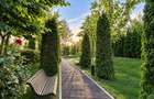 REA1029781 3 cam I Floreasca I 2 bai I Parcare inclusa I Piscina - 15