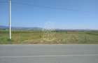 Teren 20000 mp (2 ha)-parcelabil-ideal cabane/agricultura/ferma-Jelna - 3