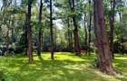 REA1029226 Apartament 3 camere I Mobilat I Parcare I Padurea Baneasa - 19