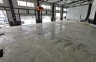 Investitie - Hala industriala 450mp, cu chirias, zona de Vest - 2