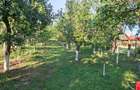 Teren intravilan zona Viile Satu Mare  - 6