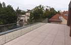 Aviatorior, apartament de 4 camere si curte proprie - 3