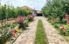 Vila Băile Felix 414mp/3556mp 7dorm 5bai 3 bucătării  vie+cramă livadă filigorie