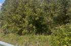 TEREN INTRAVILAN - 2500 MP - Valea Mare- Podgoria - 9