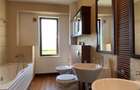 Villa garden Pipera OMV - 9
