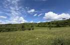 Teren pentru locuință individuală poziționat intr-un cadru natural ! - 9