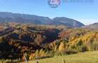 Oportunitate! Teren 10.669 mp în Moieciu de Jos –Natură Pură, Potential Turistic - 2