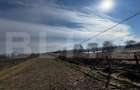 Teren extravilan 3100 mp cu ieșire la râul Mureș - 4