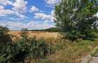 De vânzare teren extravilan, 11,600 mp, Salonta - 6