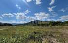 TEREN INTRAVILAN 2,26 HA | SUCEVITA | - 4