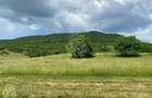 Teren 7200 mp-parcelabil-investitie-Sieu Magherus la 16 km de Bistrita - 7