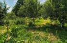 Casa extraordinara cu 2300mp teren in Bod, Brasov - 26