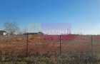 Săbăreni, teren intravilan construibil, cu utilităti in apropiere - 8
