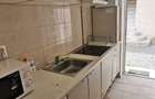 Apartament 1 camera Pet Friendly Calea Motilor - 6