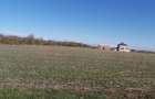 Vanzare 2000 mp, sau 3000 mp sau 5000 mp teren in Gradistea cu acces dinspre A3 - 8