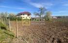 Teren intravilan 2554 mp, com. Prajesti, jud. Bacau - 11
