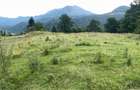 Teren Rasnov inntravilan PUZ) zona Parau Rece - 9