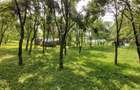 Oportunitate vanzare 6000 mp teren drept,superb toate utilitatile Breaza Prahova - 4