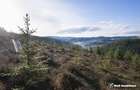 Eco Retreat Land in Apuseni Romania - Poiana Horea - 8