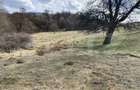 Teren extravilan in suprafata de 7500 mp la poalele Mesesului - 4