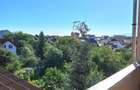 Apartament 2 camere in Valea Aurie - 10