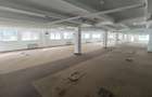 Spatii birouri/servicii - 1