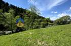 Teren 11557 mp comuna Ceahlau